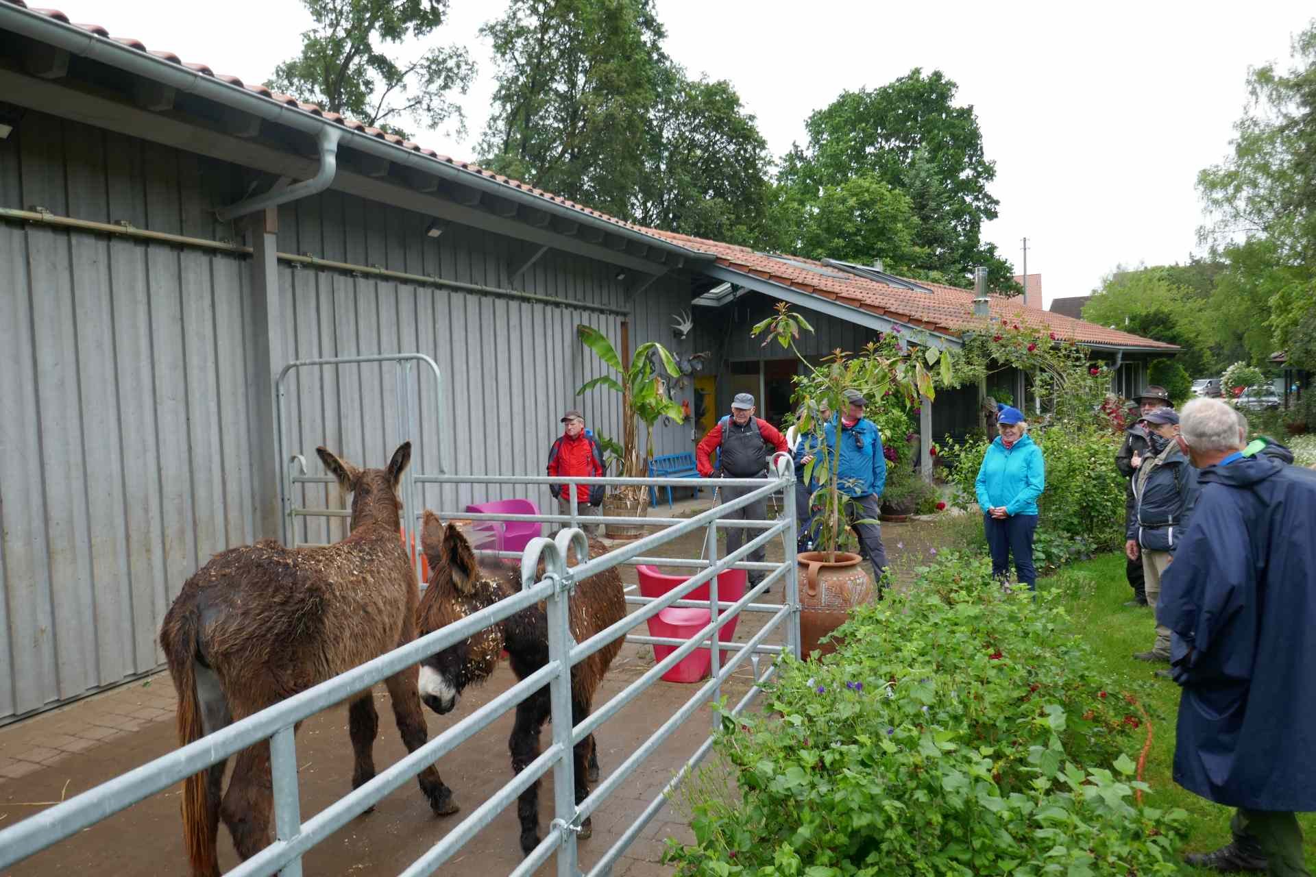 05 Albschäferweg - 2 Tages Wanderung im Juni